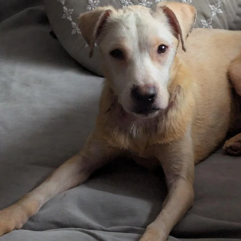 Willy Worm thumbnail 3