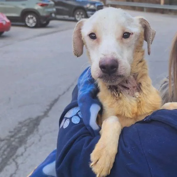 Willy Worm thumbnail 4