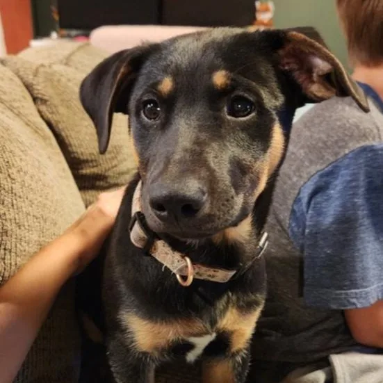 Lover Boy thumbnail 3