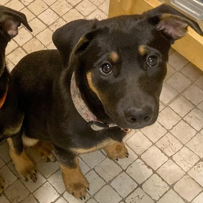 Lover Boy thumbnail 4