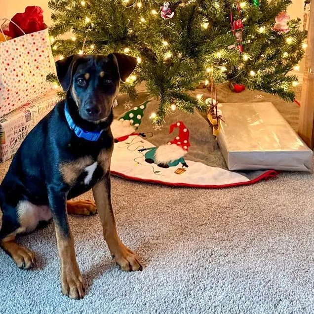 Lover Boy thumbnail 5