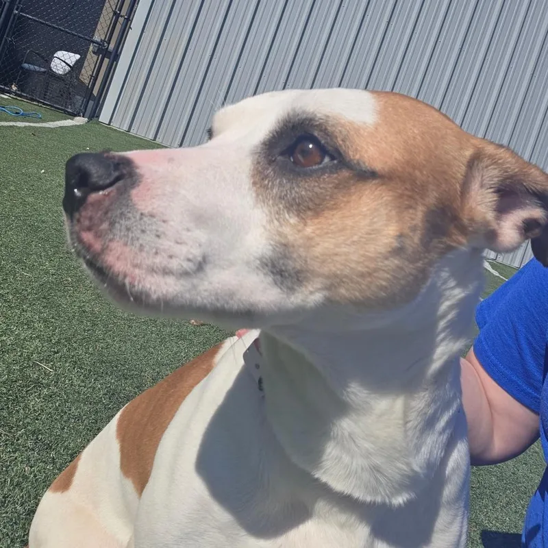 Arya thumbnail 5