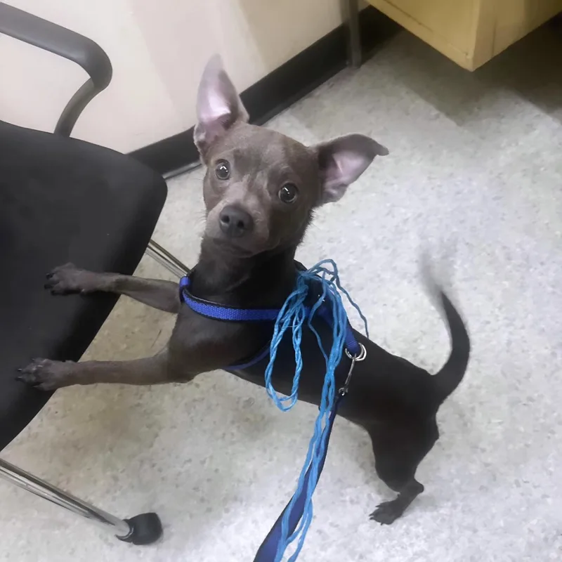 Ike Is A Sweet thumbnail 2