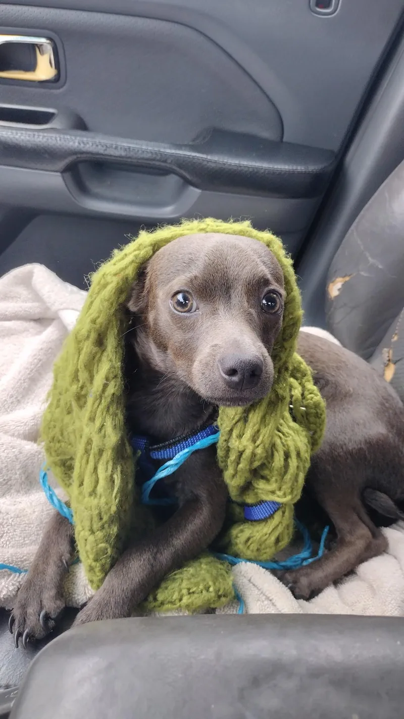 Ike Is A Sweet thumbnail 3