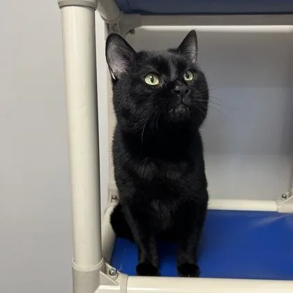 Tibberton thumbnail 2