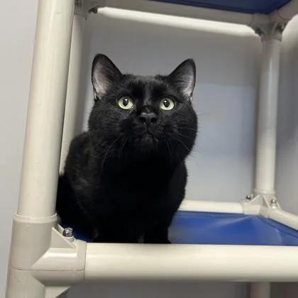 Tibberton thumbnail 3