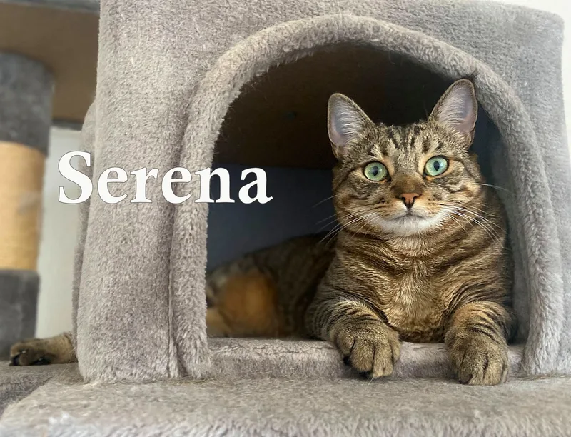 Serena thumbnail 2