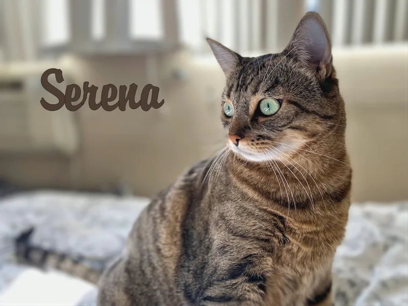 Serena thumbnail 3