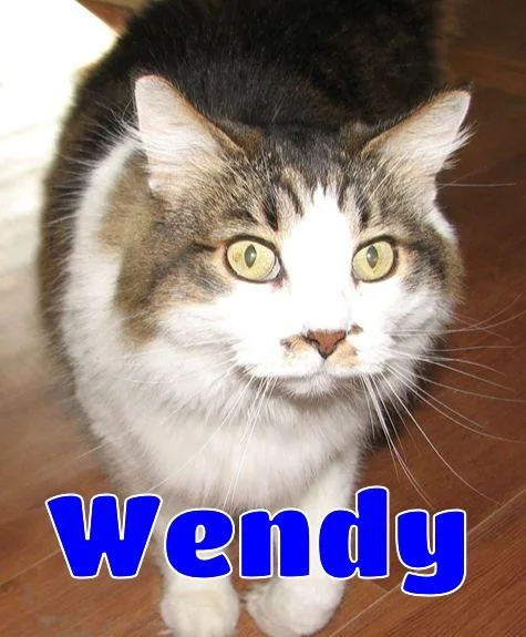 Wendy thumbnail 3