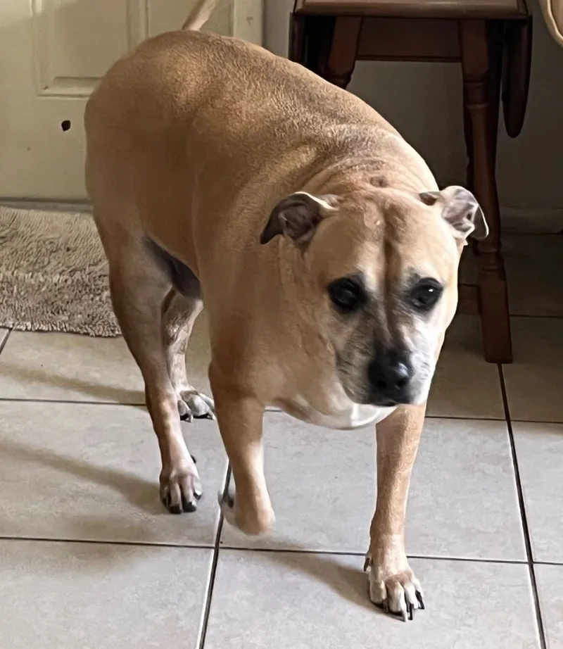 Otis Fee $ thumbnail 3