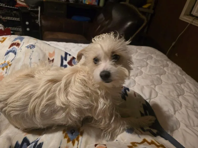 Tippy Tap thumbnail 2