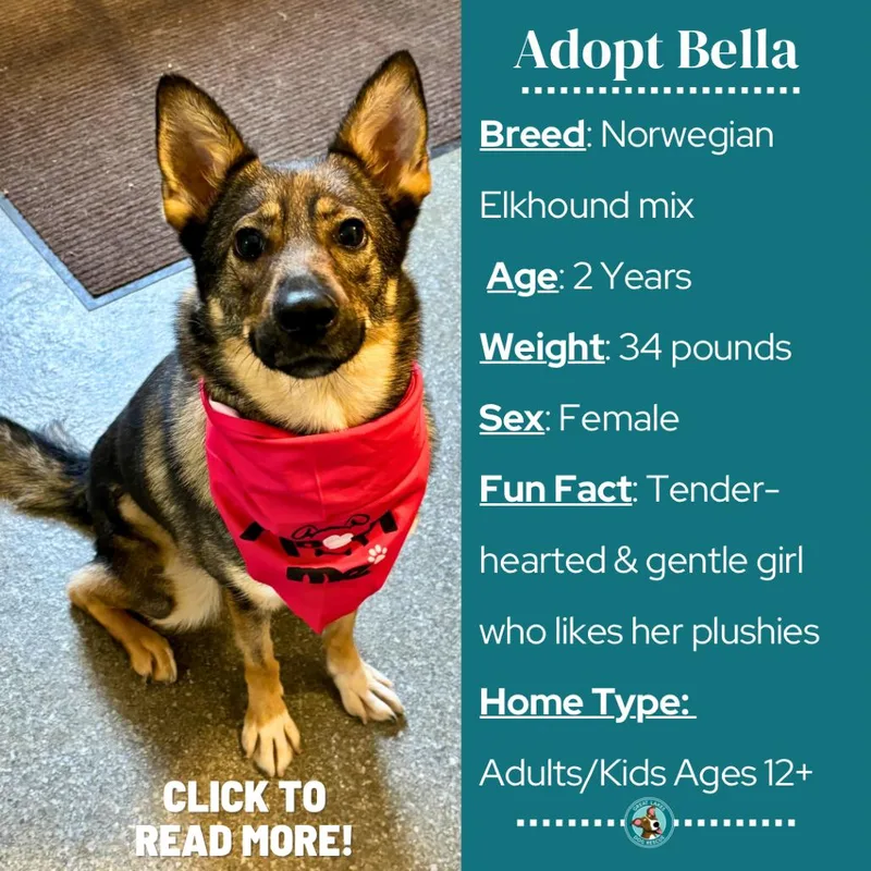 Bella thumbnail 4
