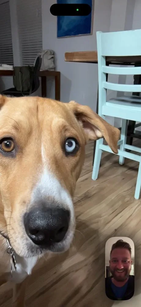 Red River Gorgies : thumbnail 2