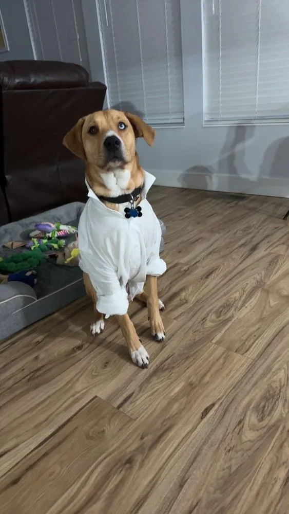 Red River Gorgies : thumbnail 6