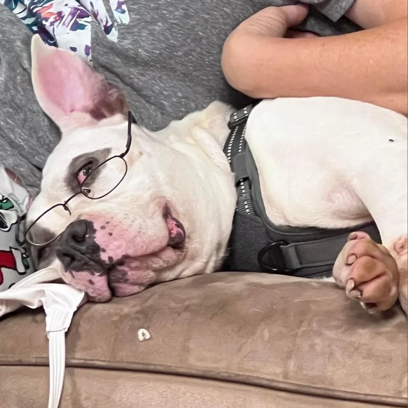 Gracie Lou thumbnail 6