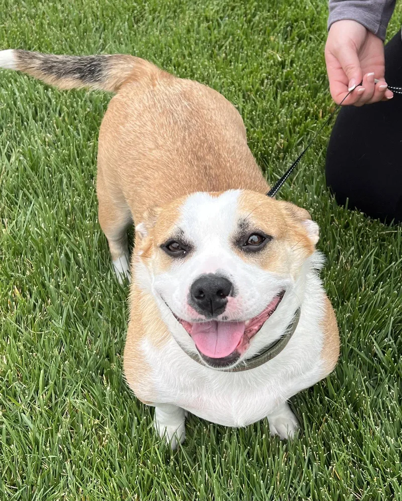 Sally Mae