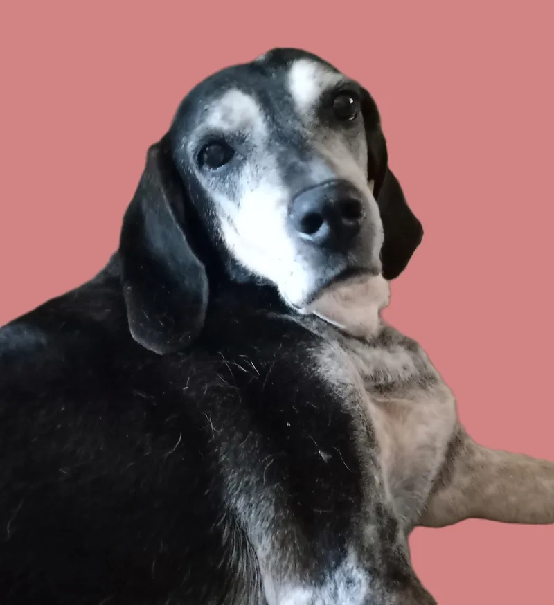 Carmelita thumbnail 3