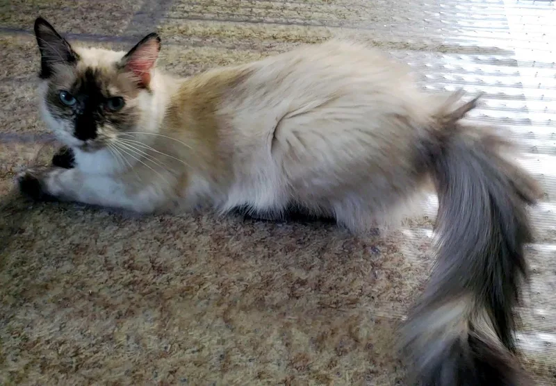 Gwendolyn thumbnail 2