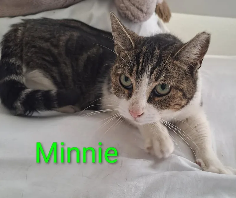 Minnie thumbnail 2