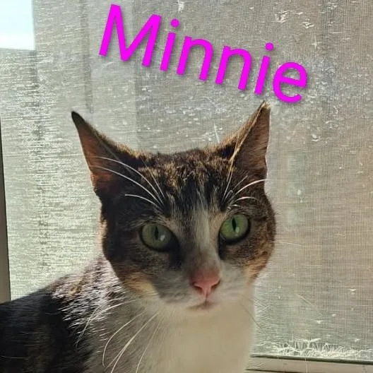 Minnie thumbnail 3