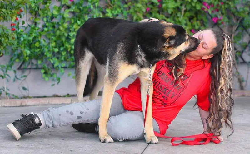 Rogue Von Rerik thumbnail 5