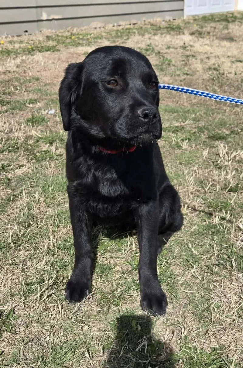 Charlotte thumbnail 2