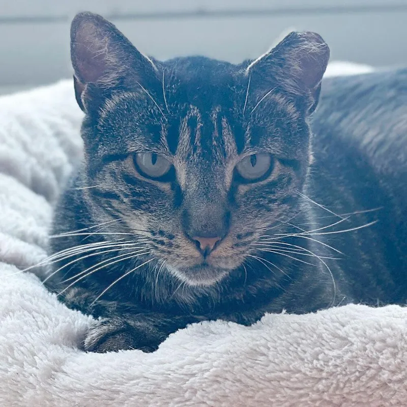 Resilience thumbnail 2