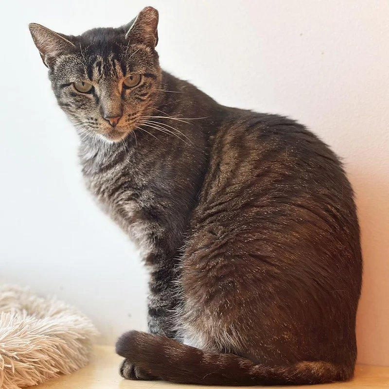 Resilience thumbnail 3