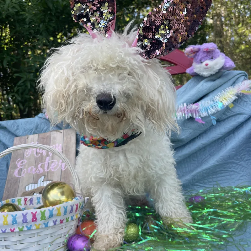 Corleone thumbnail 3