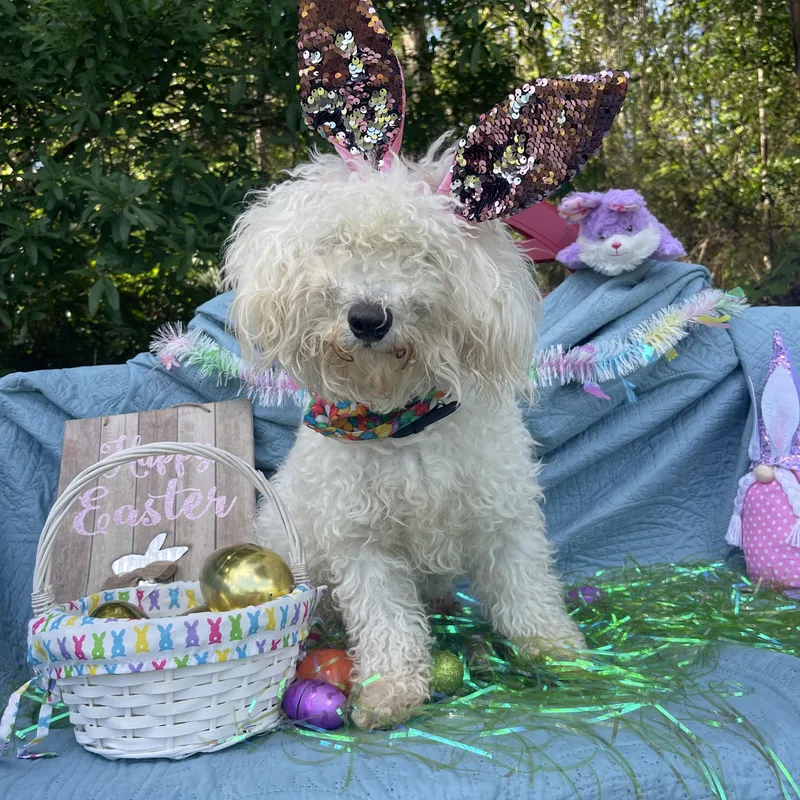 Corleone thumbnail 4