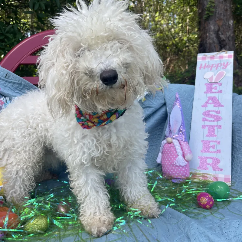 Corleone thumbnail 5