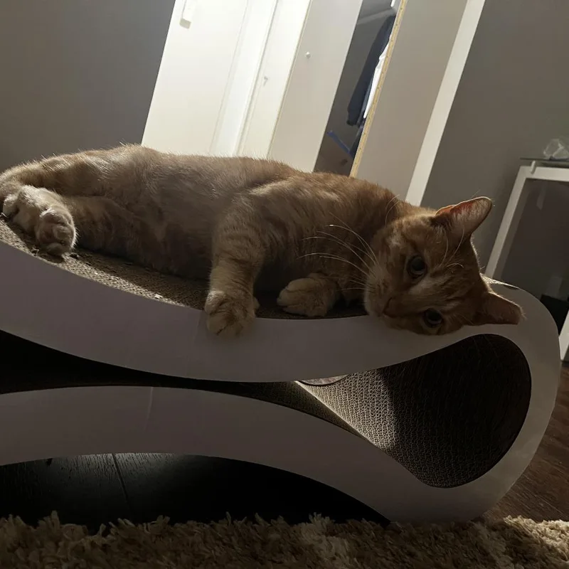 Witchy Wisp thumbnail 2