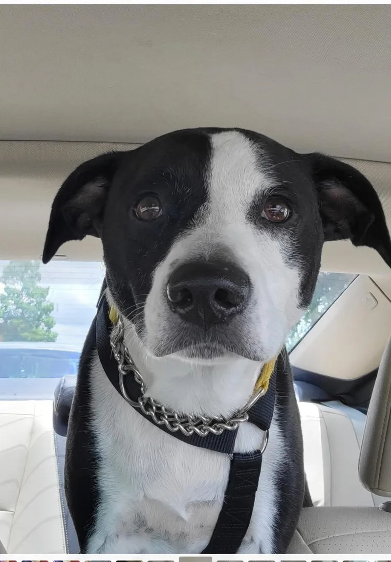 Mia & Pierre — thumbnail 3