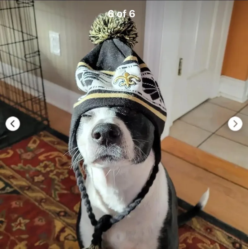 Mia & Pierre — thumbnail 5