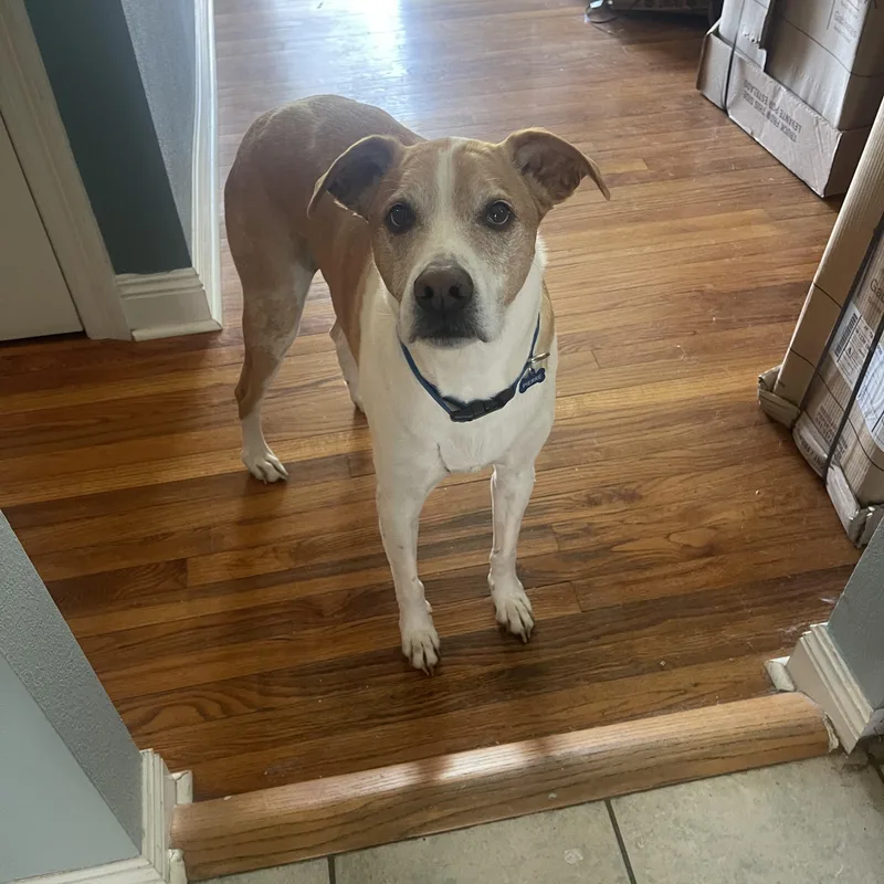 Mia & Pierre — thumbnail 6