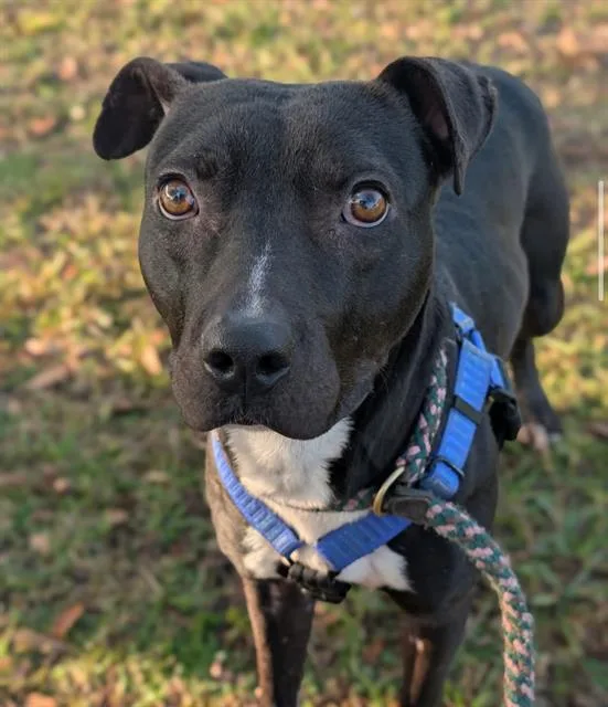 Flip Flop thumbnail 2