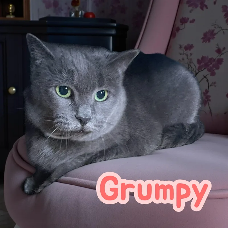 Grumpy