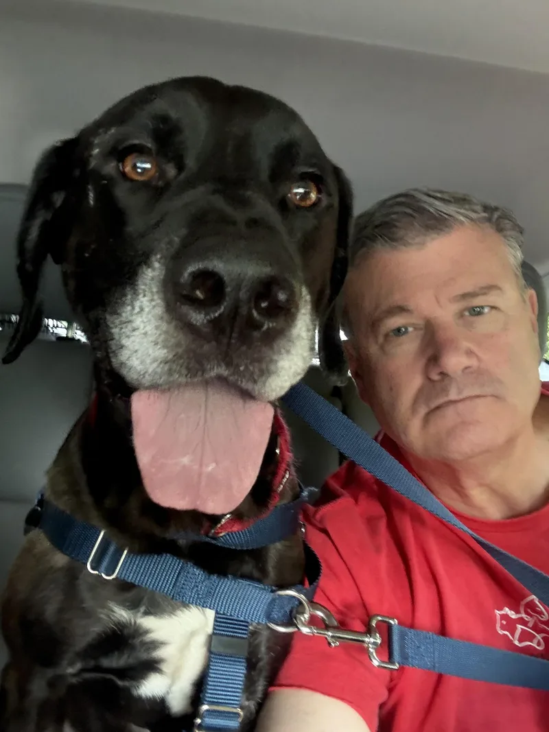 Lando  The Lovebug thumbnail 5