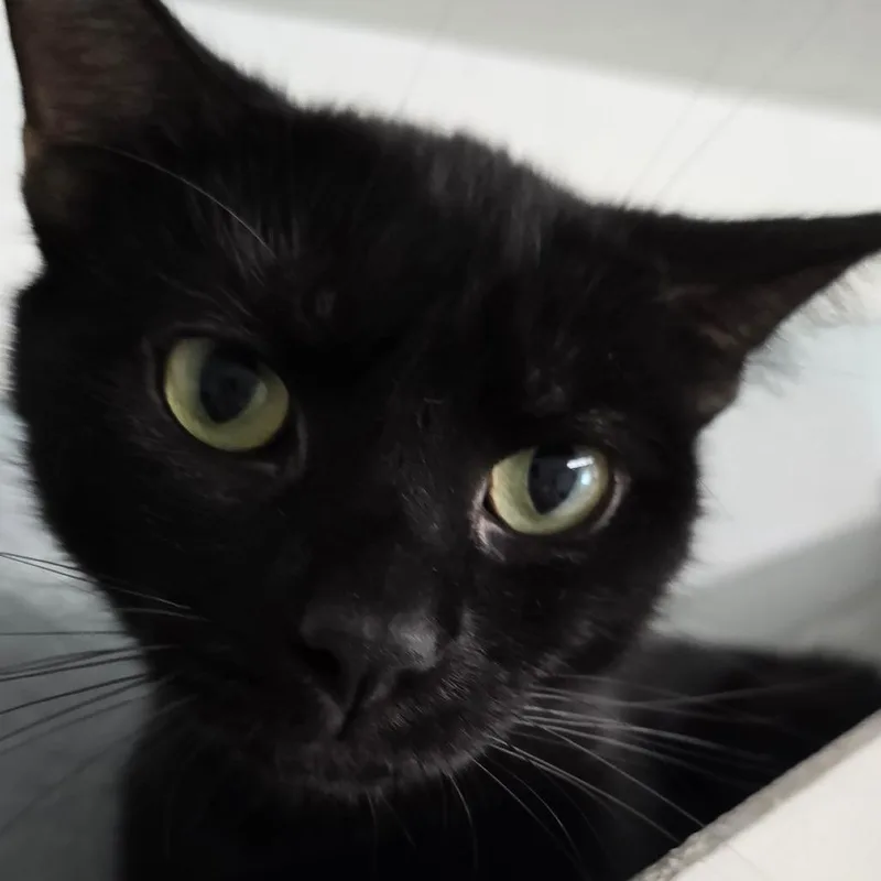 Mamacita thumbnail 2