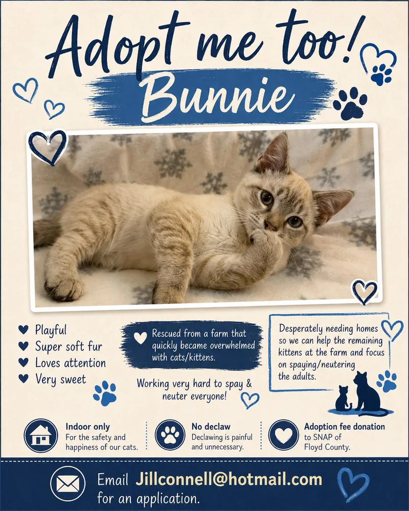 Bunnie