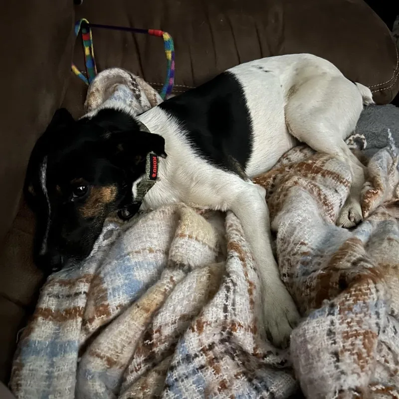 Odysseus thumbnail 2