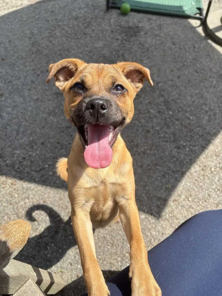 Bernadette thumbnail 2