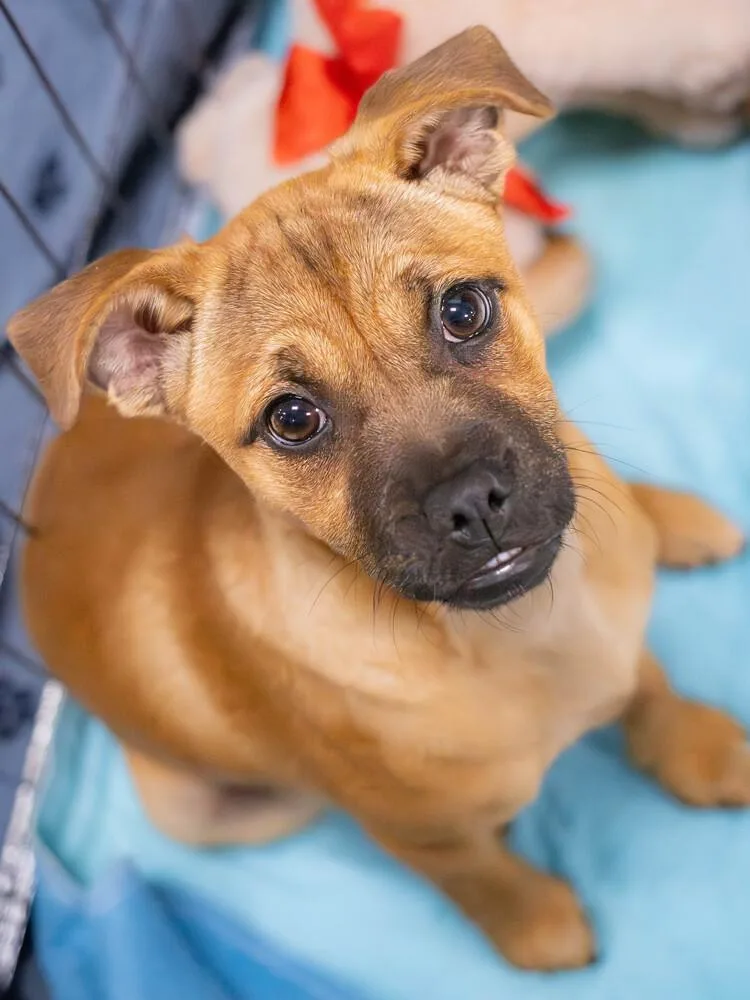 Bernadette thumbnail 3