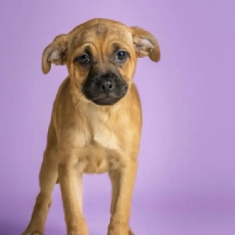 Bernadette thumbnail 4