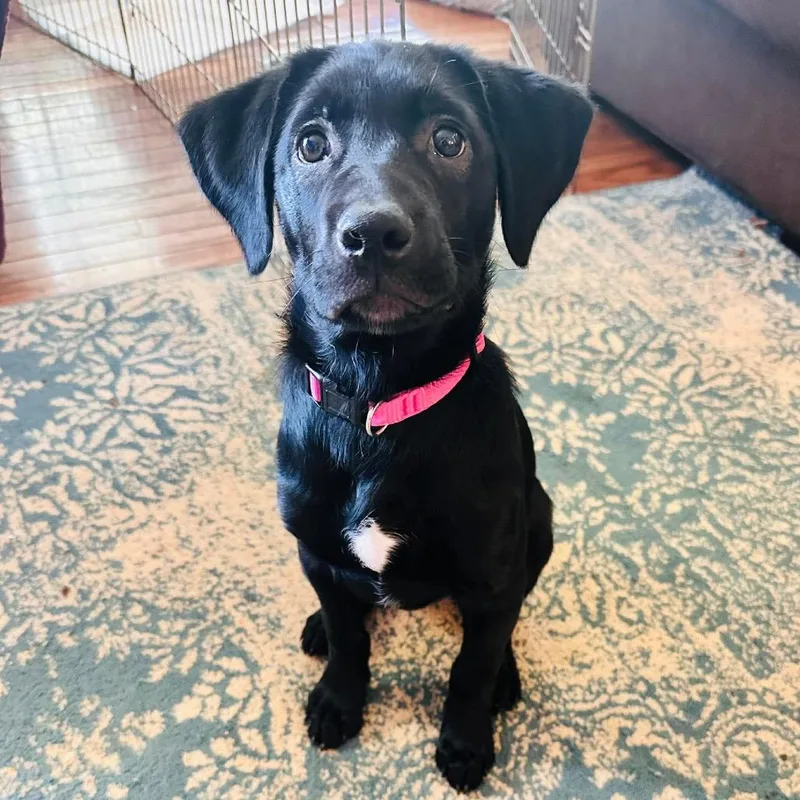 Princess thumbnail 2