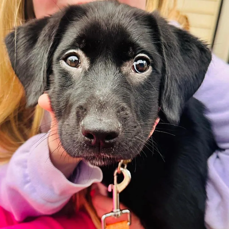 Princess thumbnail 3