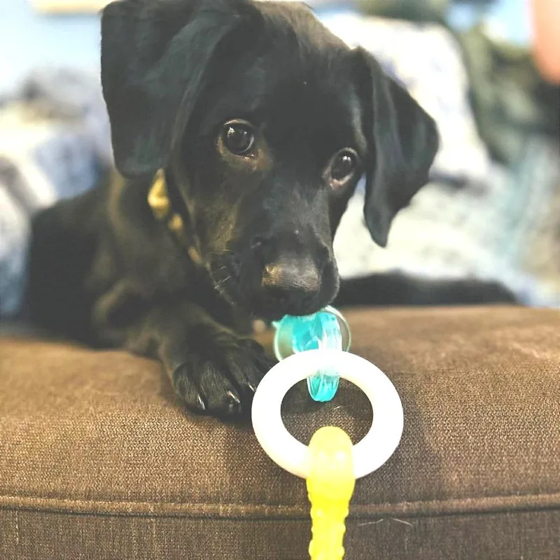 Princess thumbnail 4