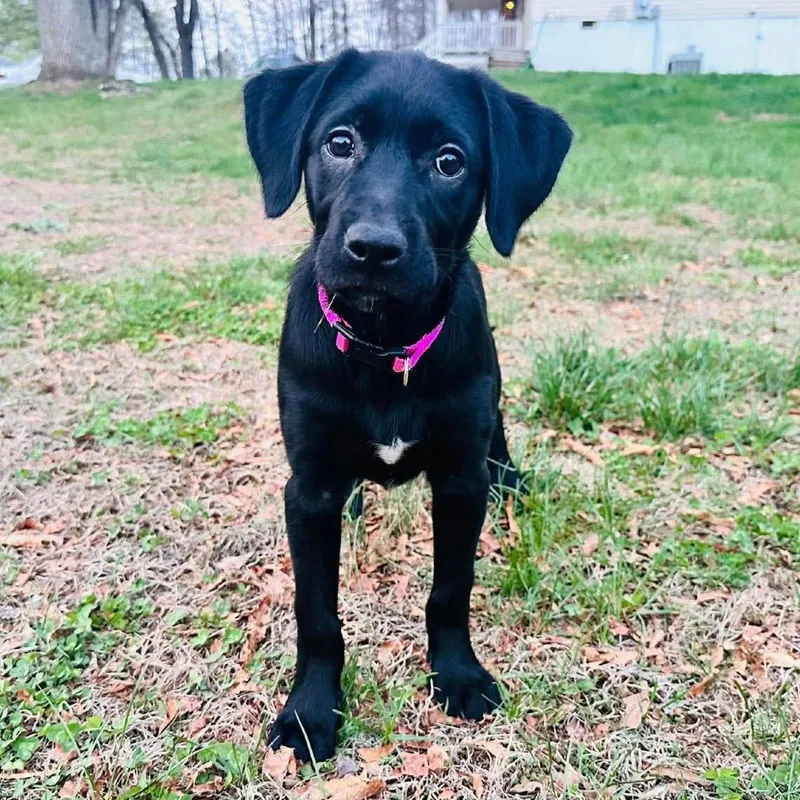 Princess thumbnail 5