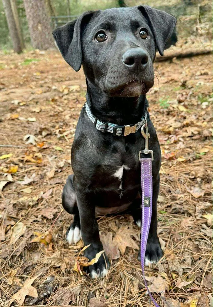 Lottie Loo thumbnail 2