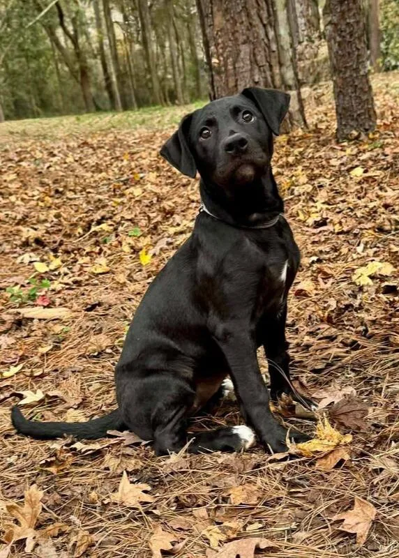 Lottie Loo thumbnail 3